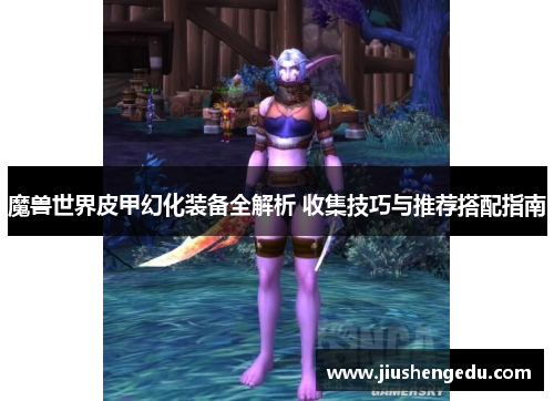 魔兽世界皮甲幻化装备全解析 收集技巧与推荐搭配指南