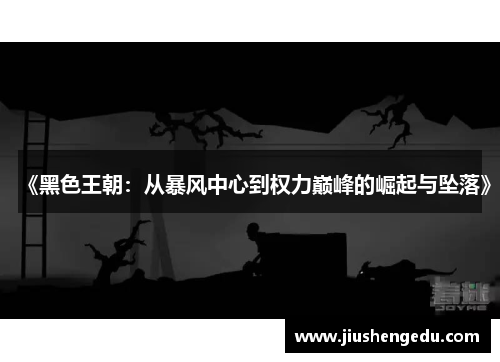 《黑色王朝：从暴风中心到权力巅峰的崛起与坠落》